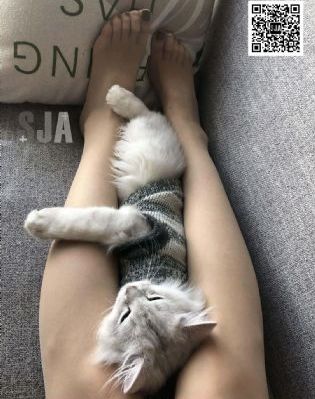 大杳蕉狼人欧美篇8_BD英语BD在线观看